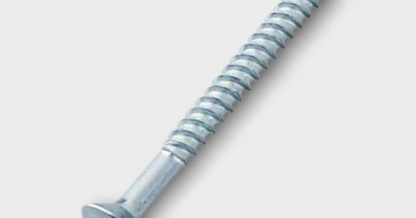 SELF DRILLING SCREWS SDS TRUSS HEAD 1" (500pcs per pkt)